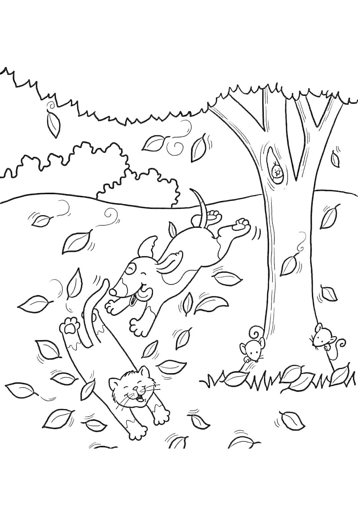 На раскраске изображено: Осень, Парк, Собака, Природа, Листья
