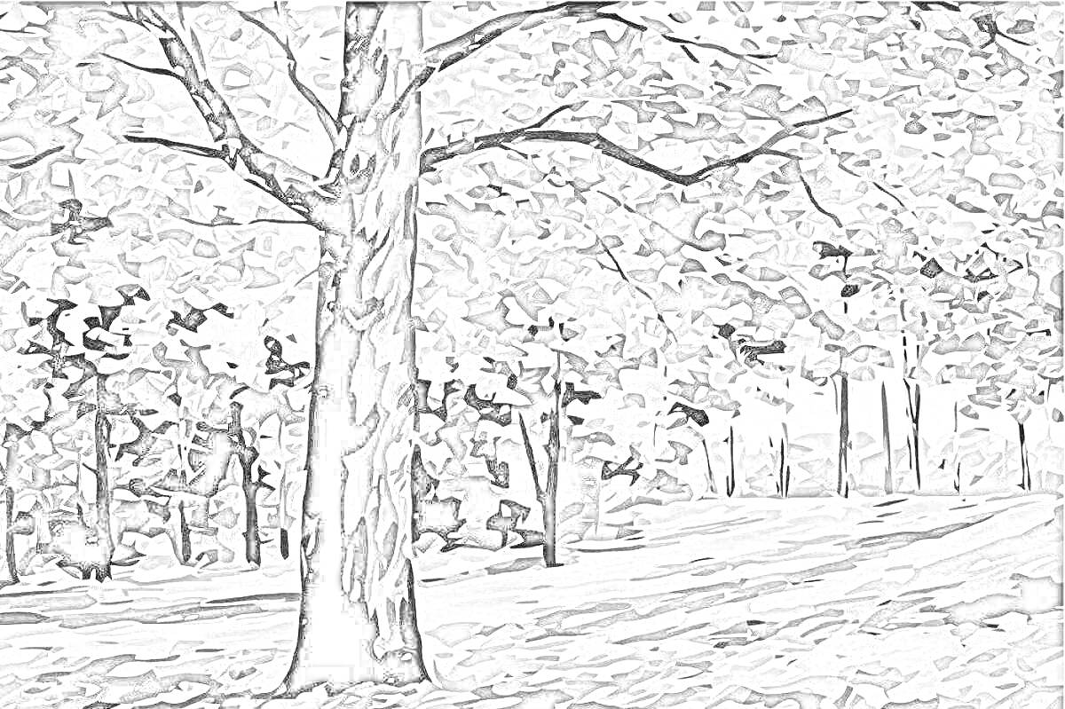 Раскраска Пейзаж с деревьями и лесом