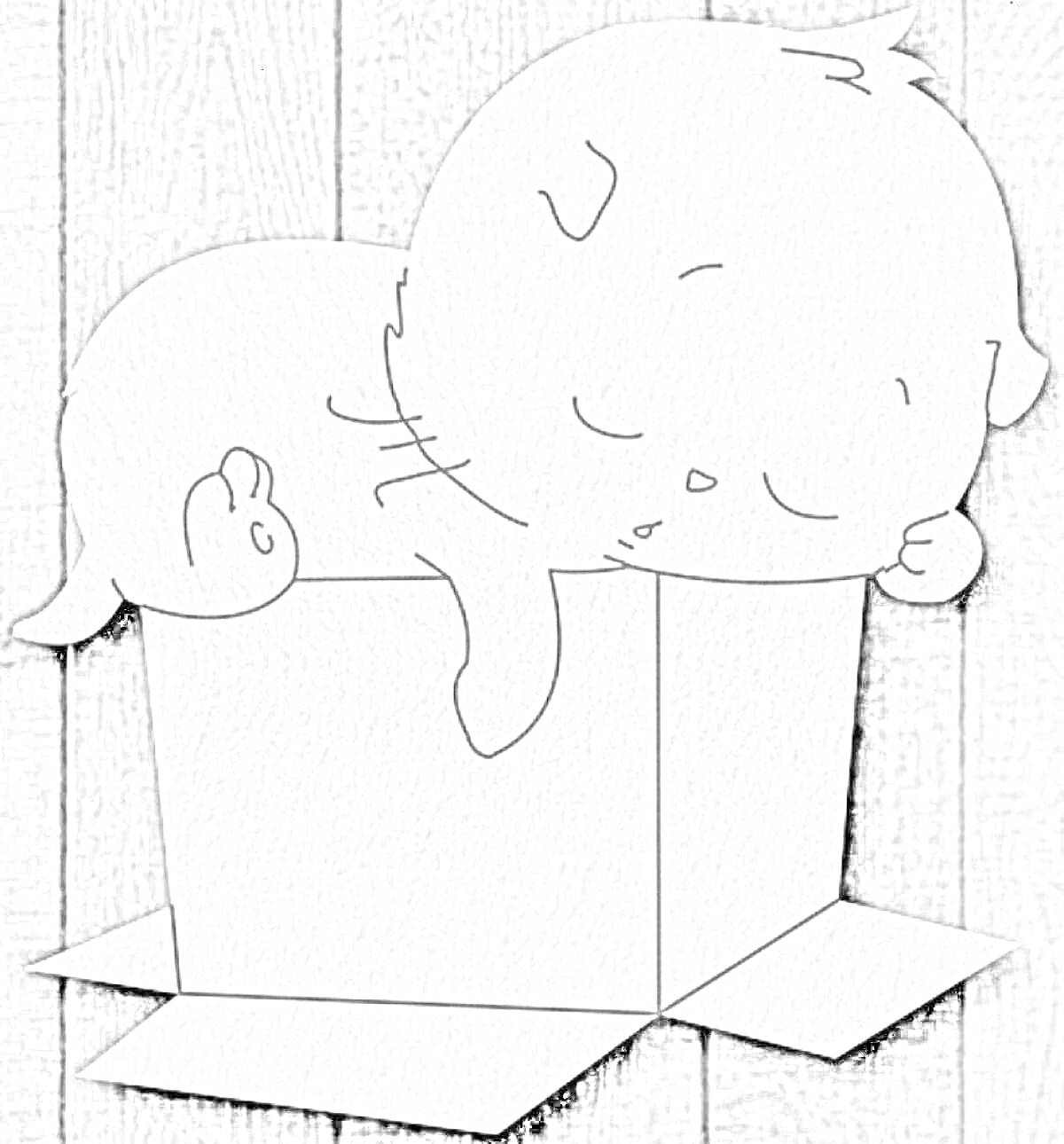 Раскраска Котёнок, спящий в коробке.