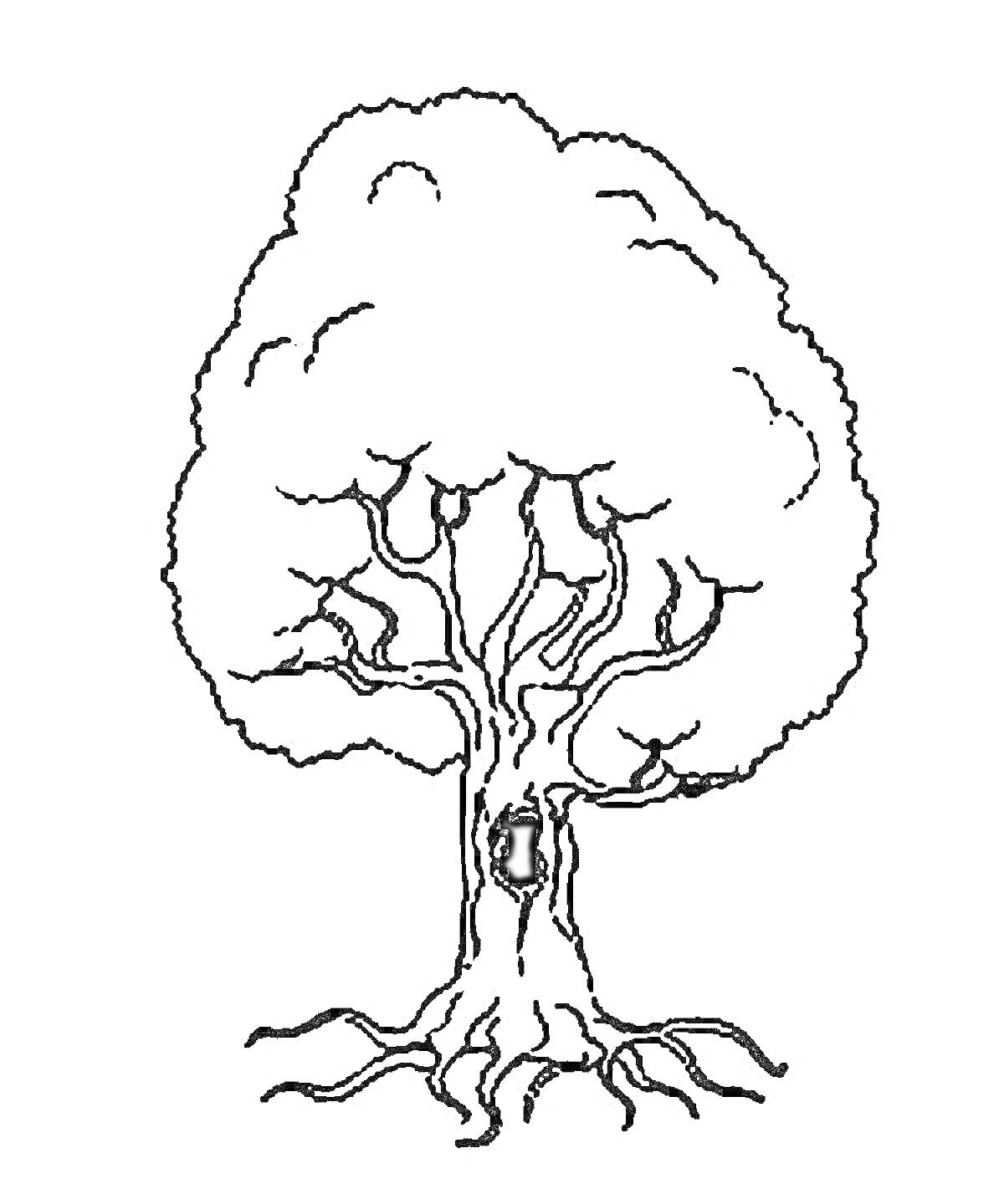 Раскраска Дерево с корнями и дуплом