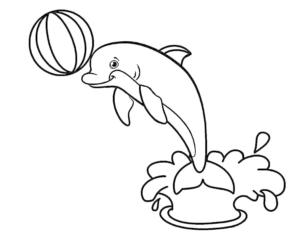Раскраска Дельфин прыгает из воды с мячом