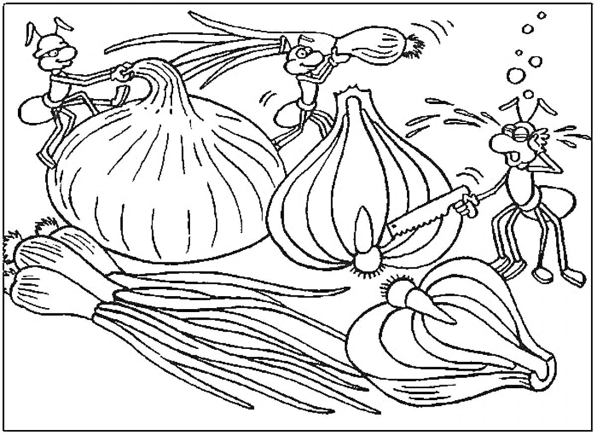 Раскраска Муравьи и лук: работа с луком, лук-порей и луковая кожура