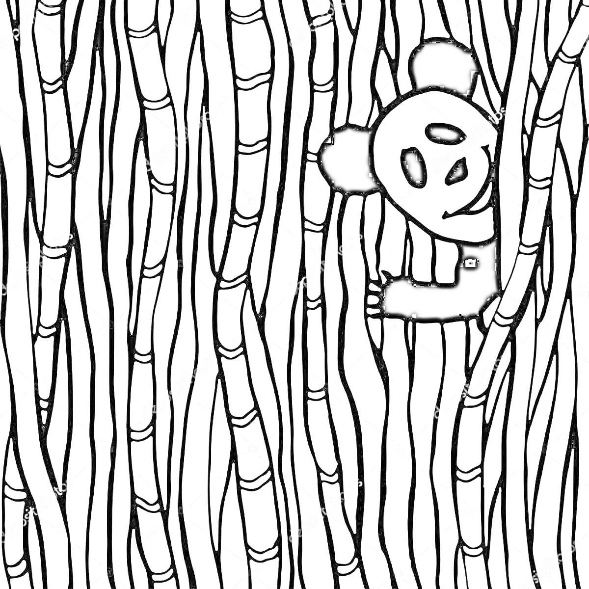 Раскраска Панда среди бамбуковых стеблей