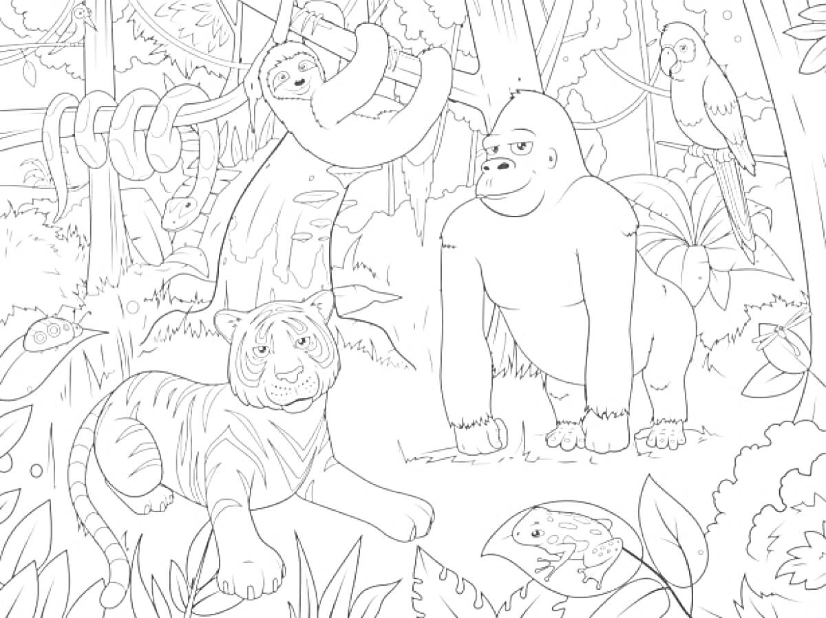 На раскраске изображено: Джунгли, Природа, Тигр, Горилла, Ленивец, Деревья, Листья, Лес, Животные, Лягушки, Попугаи