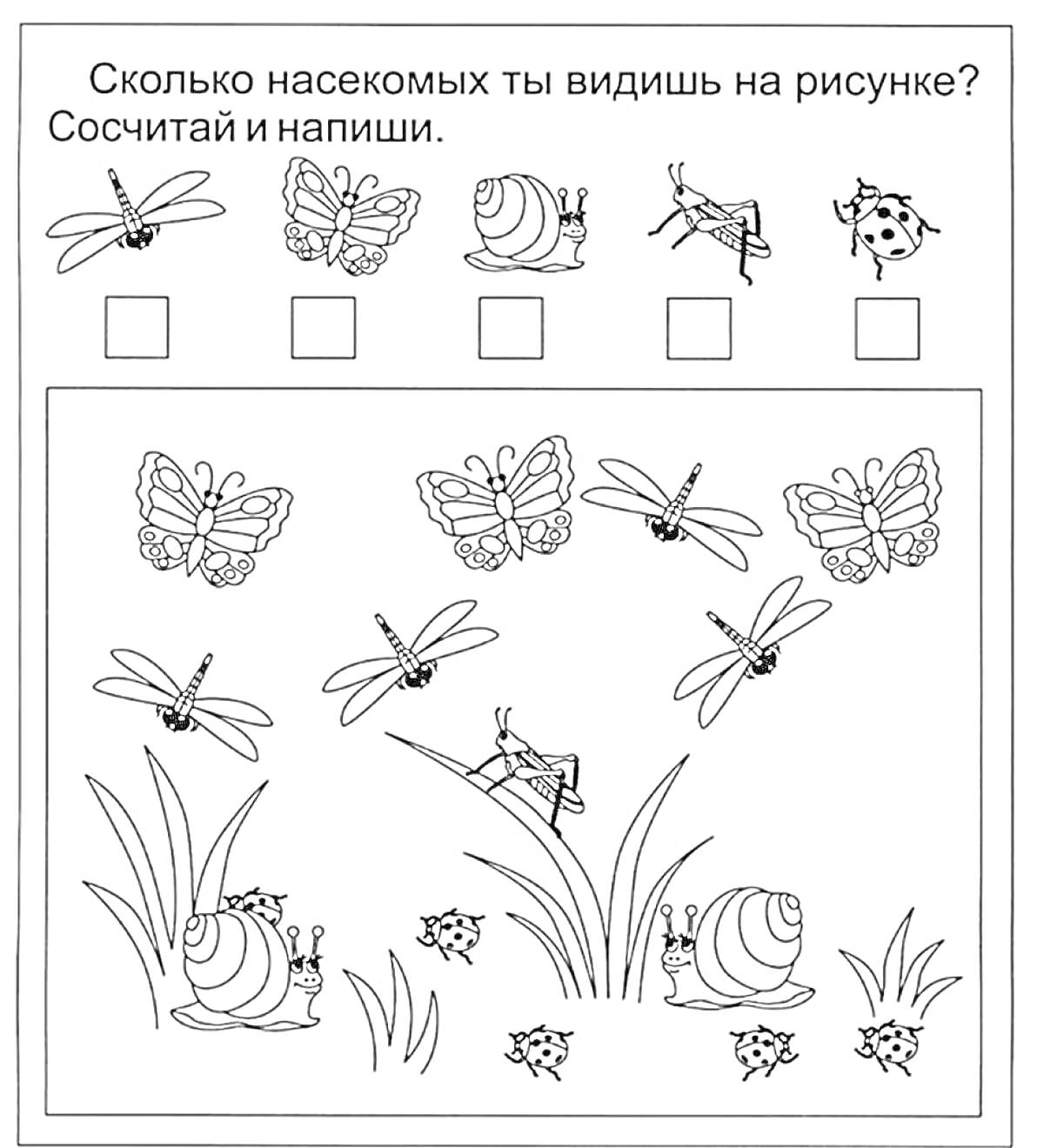 Насекомые в траве с улитками и бабочками. Сосчитай и напиши количество насекомых.