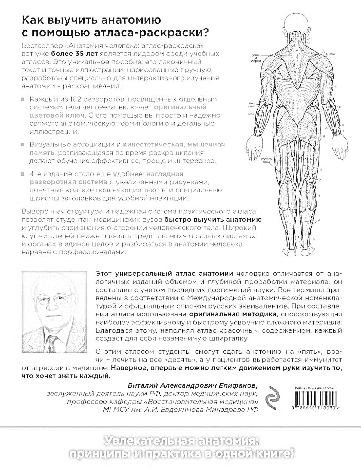 Как выучить анатомию с помощью атласа-раскраски? Инструкция, изображение сзади человека с анатомическими отметками, фото автора, штрихкод, текст о книге.