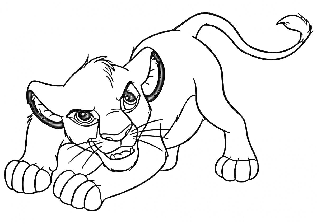 Раскраска Симба в охотничьей позе, с выражением готовности, видны глаза, уши, передние и задние лапы, а также хвост