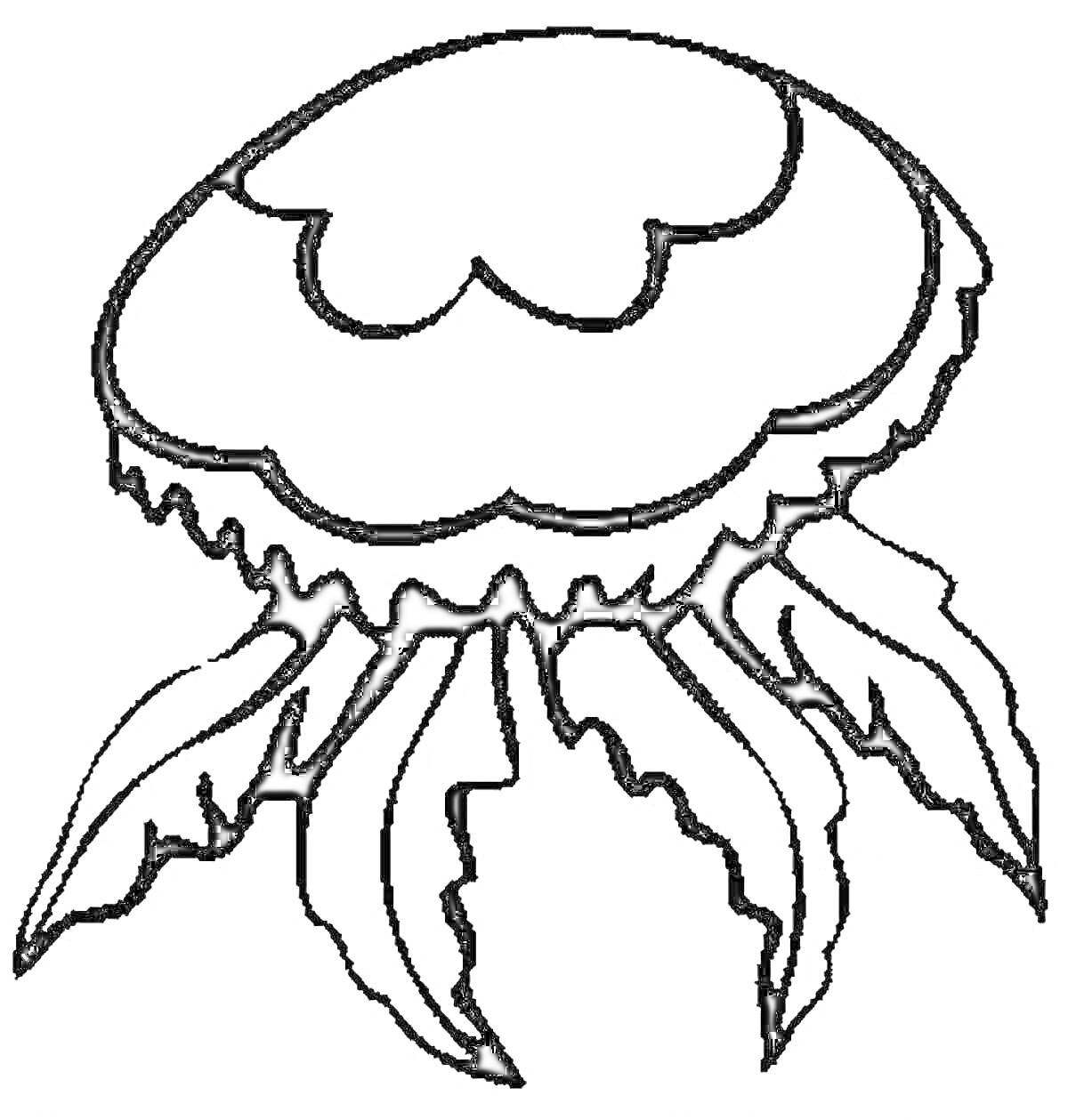 Раскраска Медуза с куполом и щупальцами