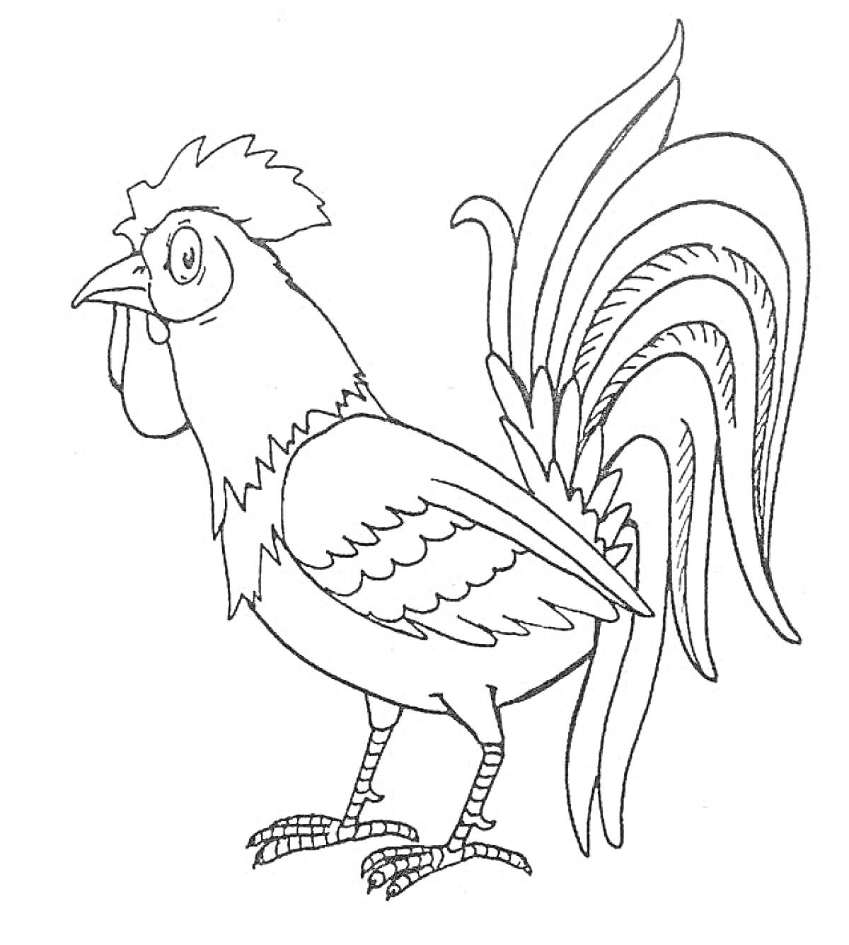 Раскраска Петух с гребнем, бородой, крыльями и длинным хвостом