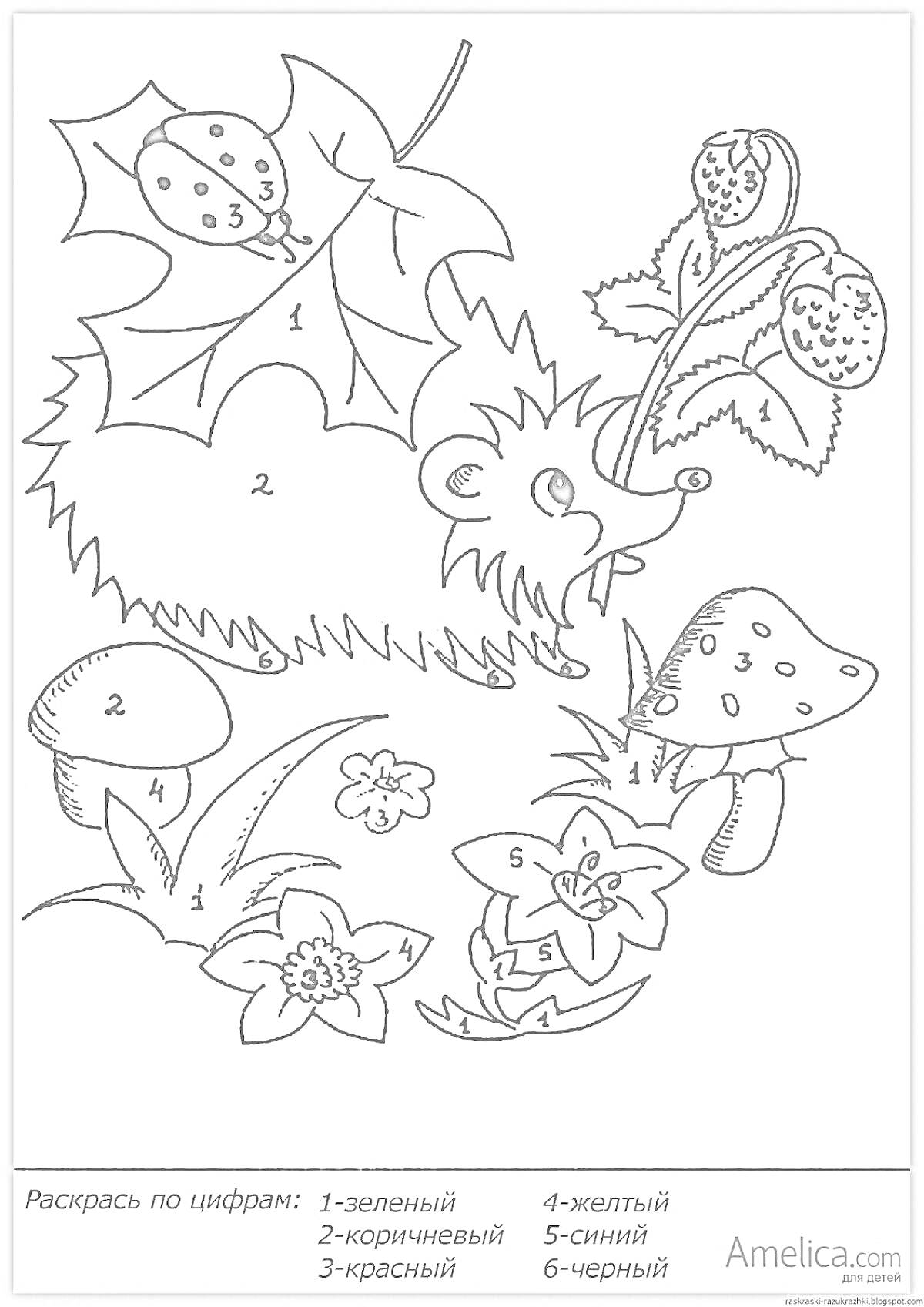 На раскраске изображено: Листья, Ягоды, Мухоморы, Цветы, Подснежники, По цифрам, Для детей, 5 лет, 6 лет