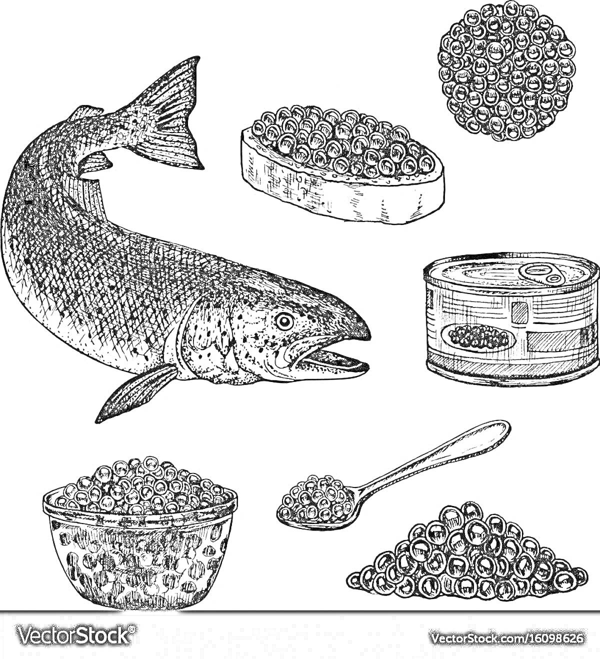 На раскраске изображено: Рыба, Икра, Миска, Ложка, Тарелка, Банка