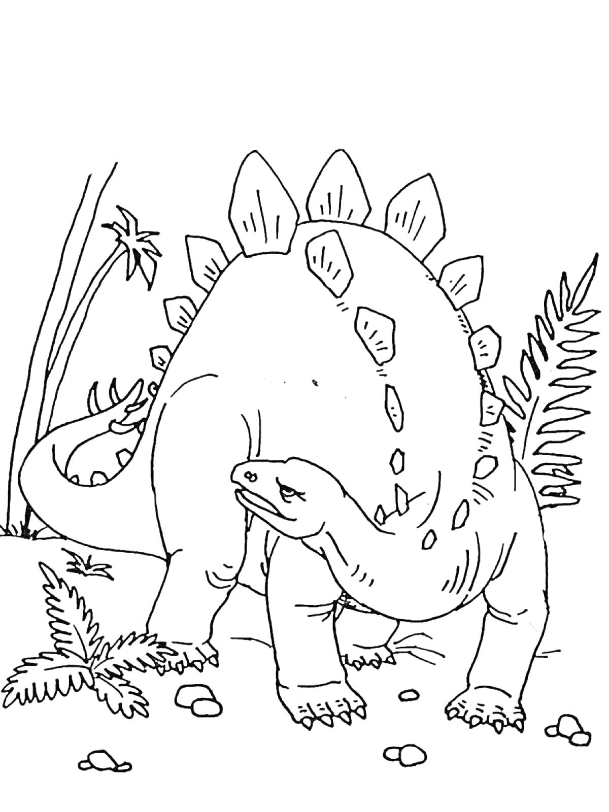 Раскраска Динозавр с пластинами на спине, растительность, камни