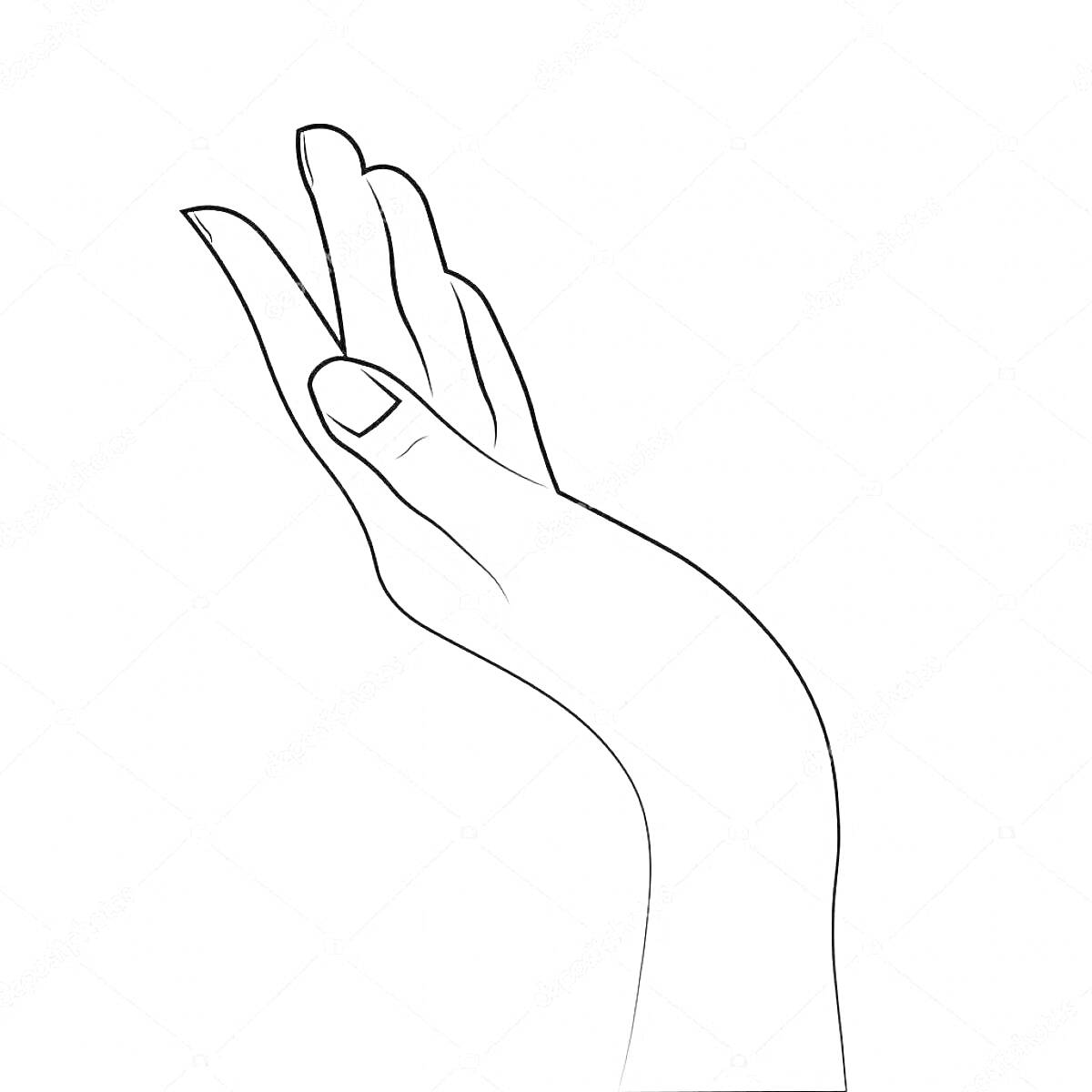На раскраске изображено: Рука, Вещь, Пальцы