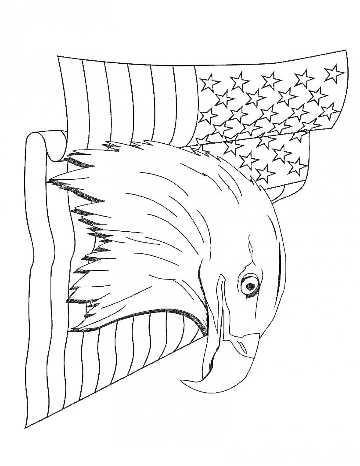 Раскраска Орел на фоне американского флага
