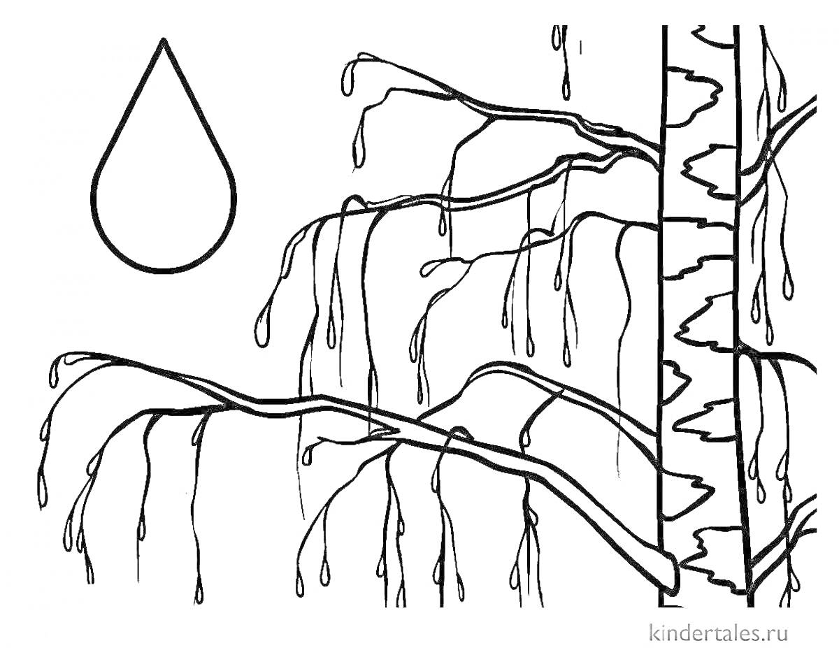 Раскраска Ветка дерева с сосульками и каплей воды