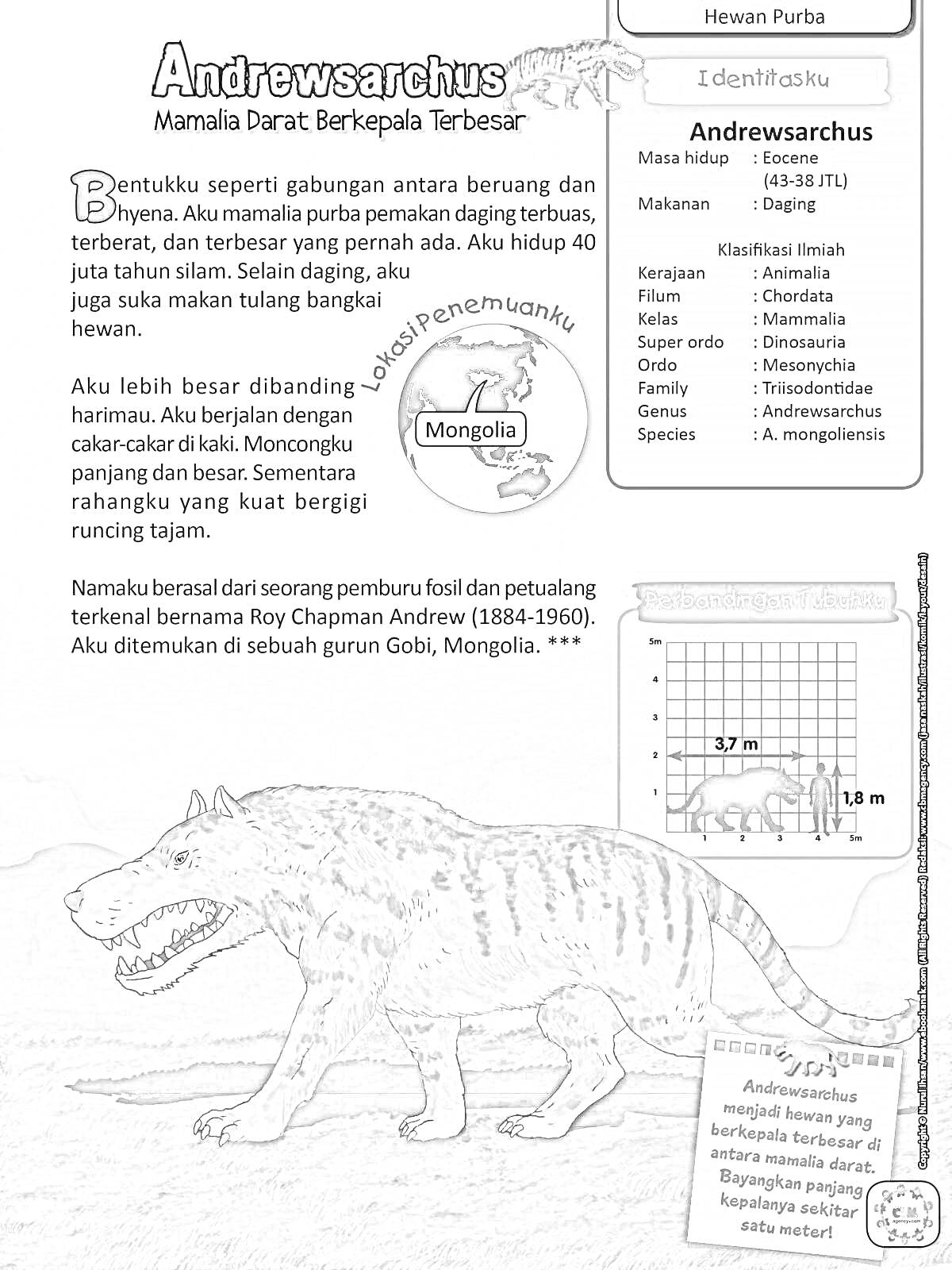 Раскраска энциклопедия о Андрюсархусе с иллюстрацией животного на фоне равнины, карта Монголии, информация об Андрюсархусе, шкала размеров по сравнению с человеком