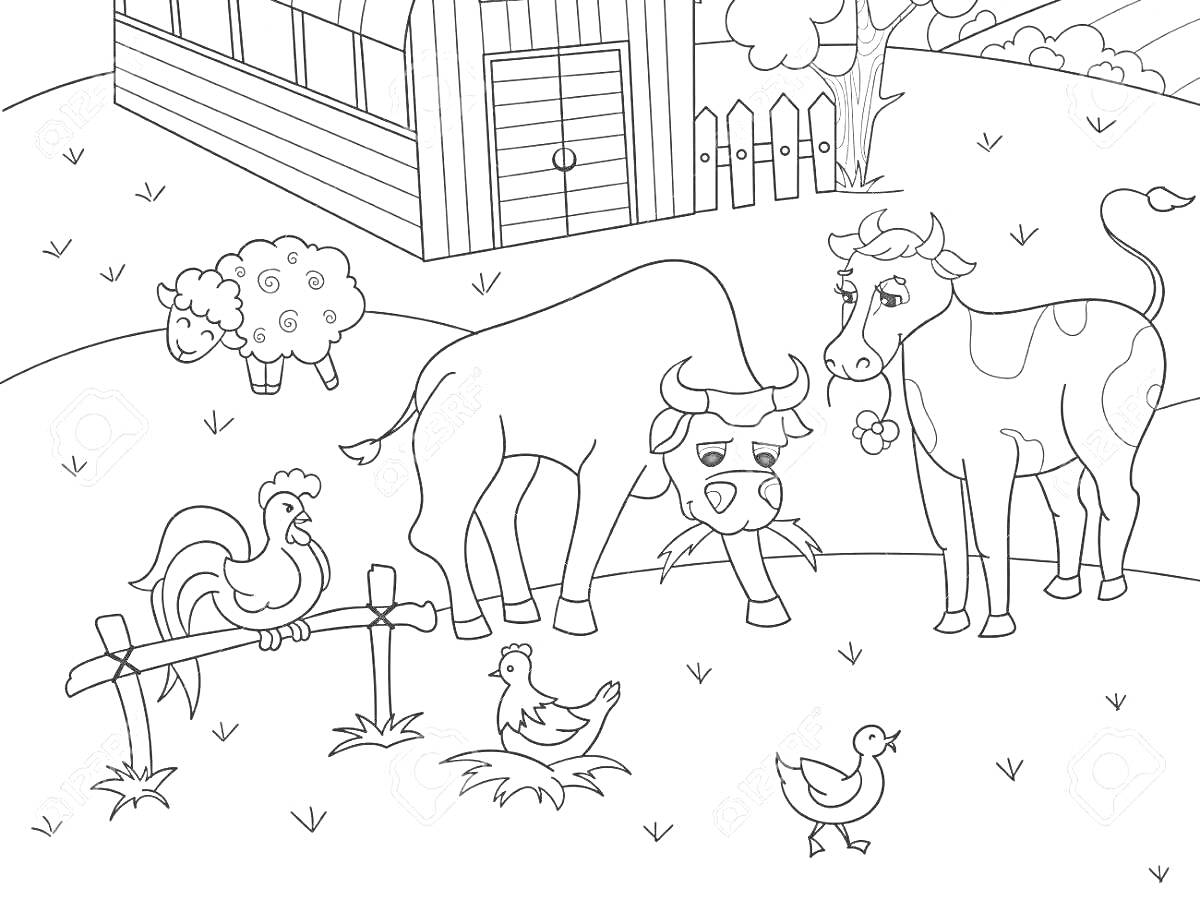 На раскраске изображено: Скотный двор, Корова, Бык, Петух, Утка, Курятник, Забор