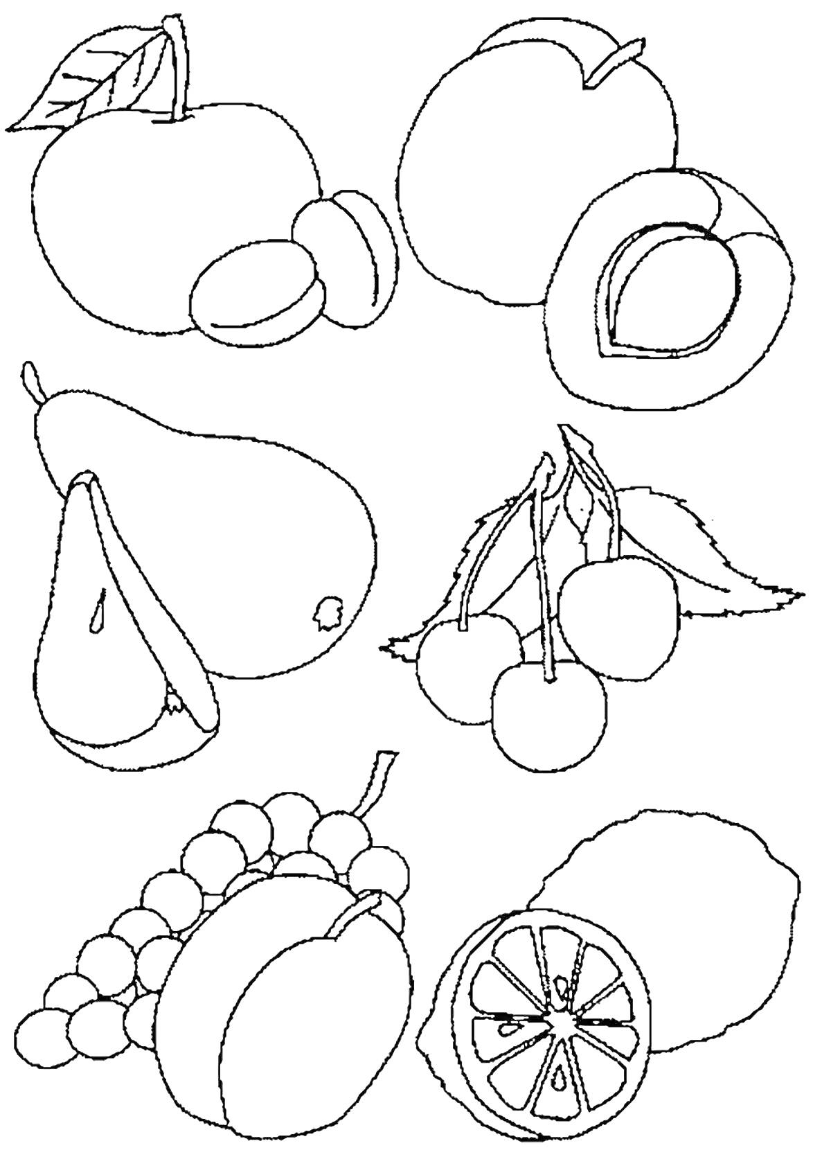 Раскраска Фрукты (яблоко, слива, абрикос, груша, вишня, виноград, лимон)