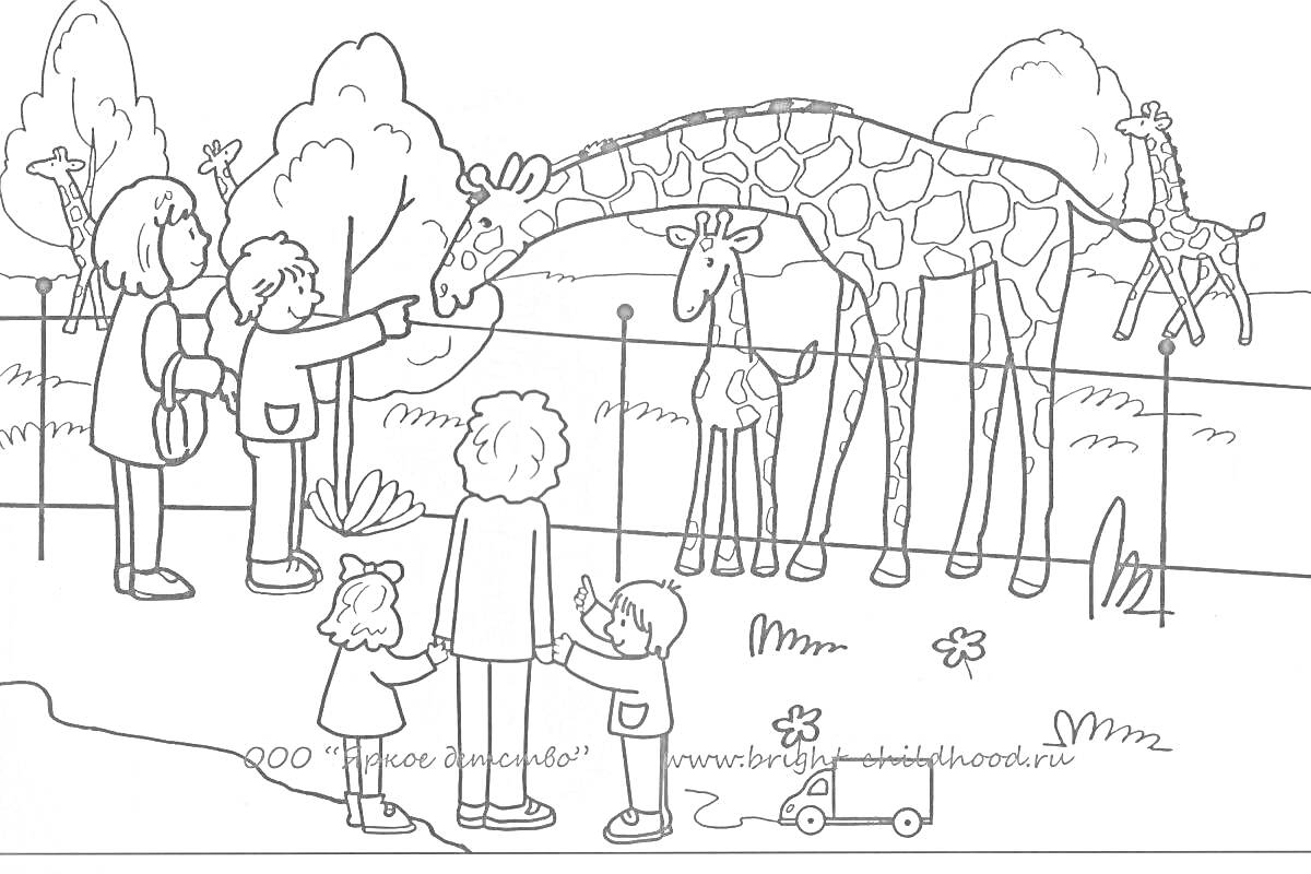 На раскраске изображено: Зоопарк, Жирафы, Игрушечная машинка, Забор, Природа, Прогулка, Животные, Семейный отдых
