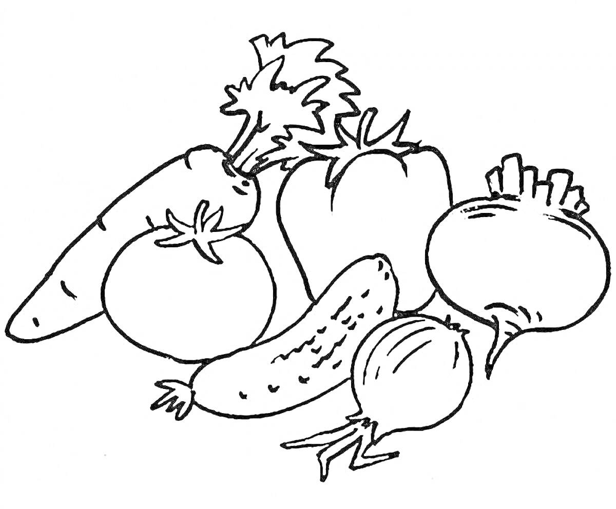 На раскраске изображено: Овощи, Морковь, Помидор, Огурец, Свекла, Лук, Для детей