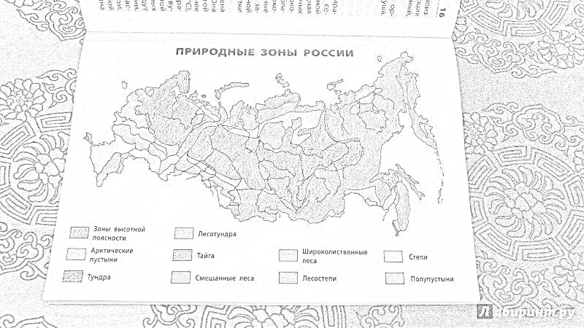Карта природных зон России (арктические пустыни, тундра, лесотундра, тайга, смешанные и широколиственные леса, лесостепь, степь, полупустыни и пустыни, субтропики).