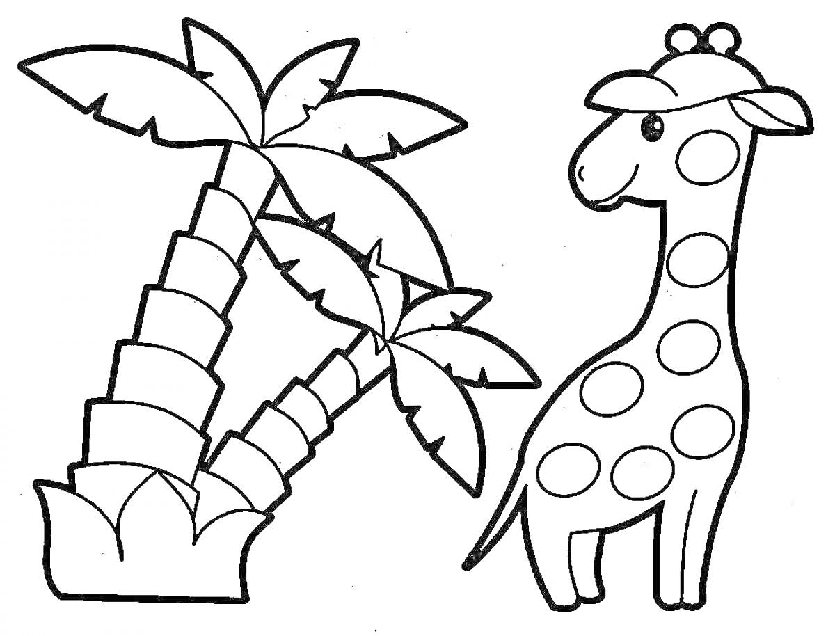 На раскраске изображено: 4-5 лет, Пальмы, Природа, Для детей, Животные, Жирафы