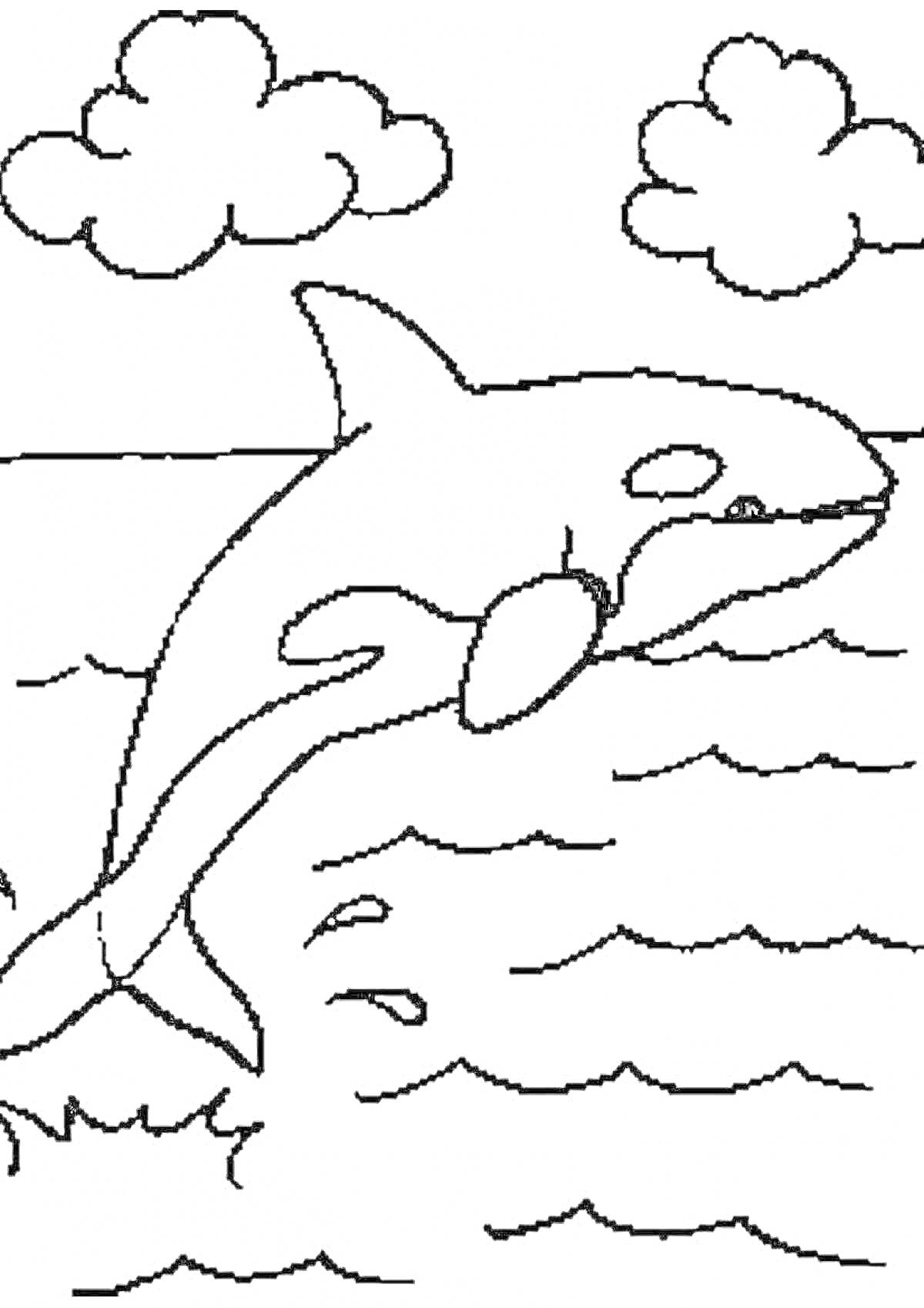 На раскраске изображено: Касатка, Море, Облака, Вода, Природа, Для детей, Контурные рисунки, Морские животные, Прыжки