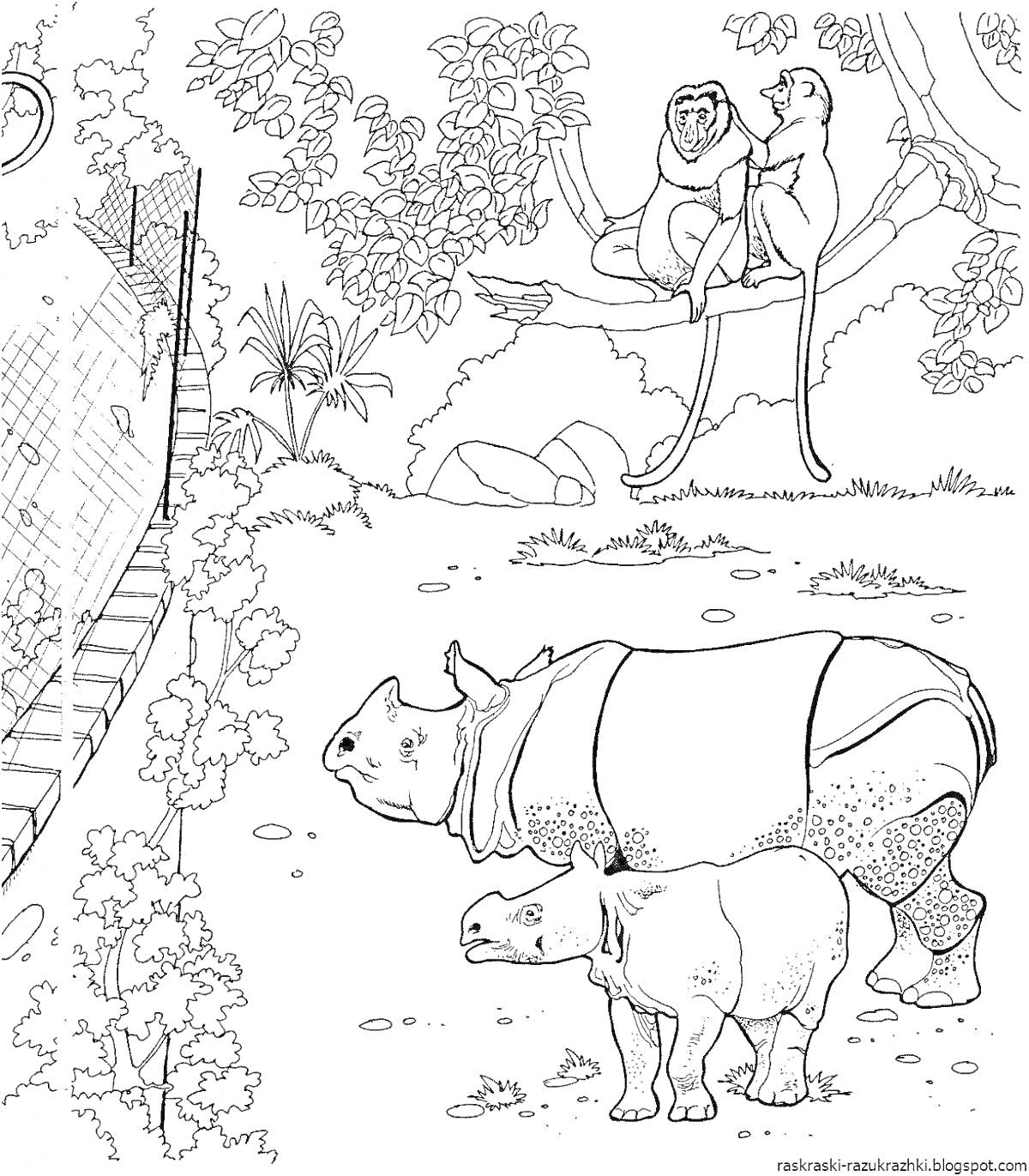 Раскраска Два носорога на переднем плане среди растительности и два примата на ветке дерева в зоопарке с вольером слева