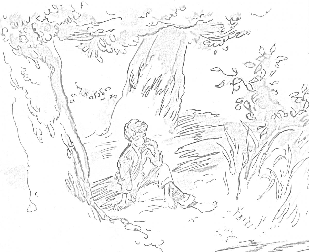 На раскраске изображено: Мальчик, Лес, Природа, Отдых, Трава, Кусты, Деревья, Ветка