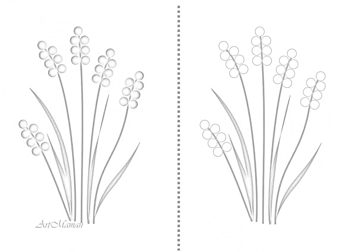 Раскраска Цветы с круглыми бутонами и вытянутыми листьями