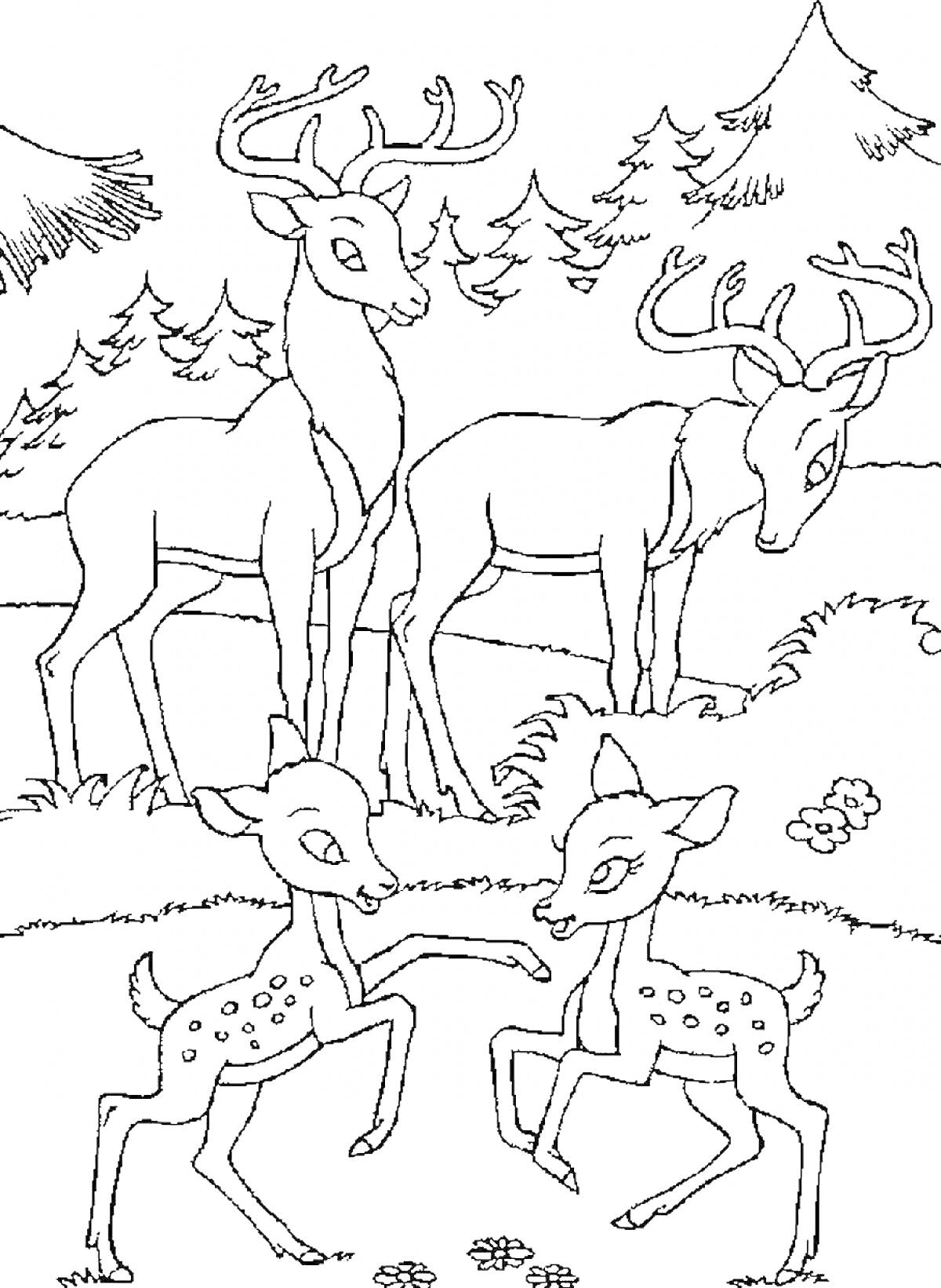 Раскраска Два оленёнка и три взрослых оленя на лесной поляне с ёлками и цветами.
