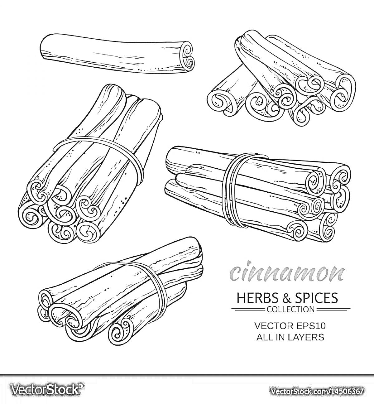 На раскраске изображено: Корица, Палочки корицы, Иллюстрация