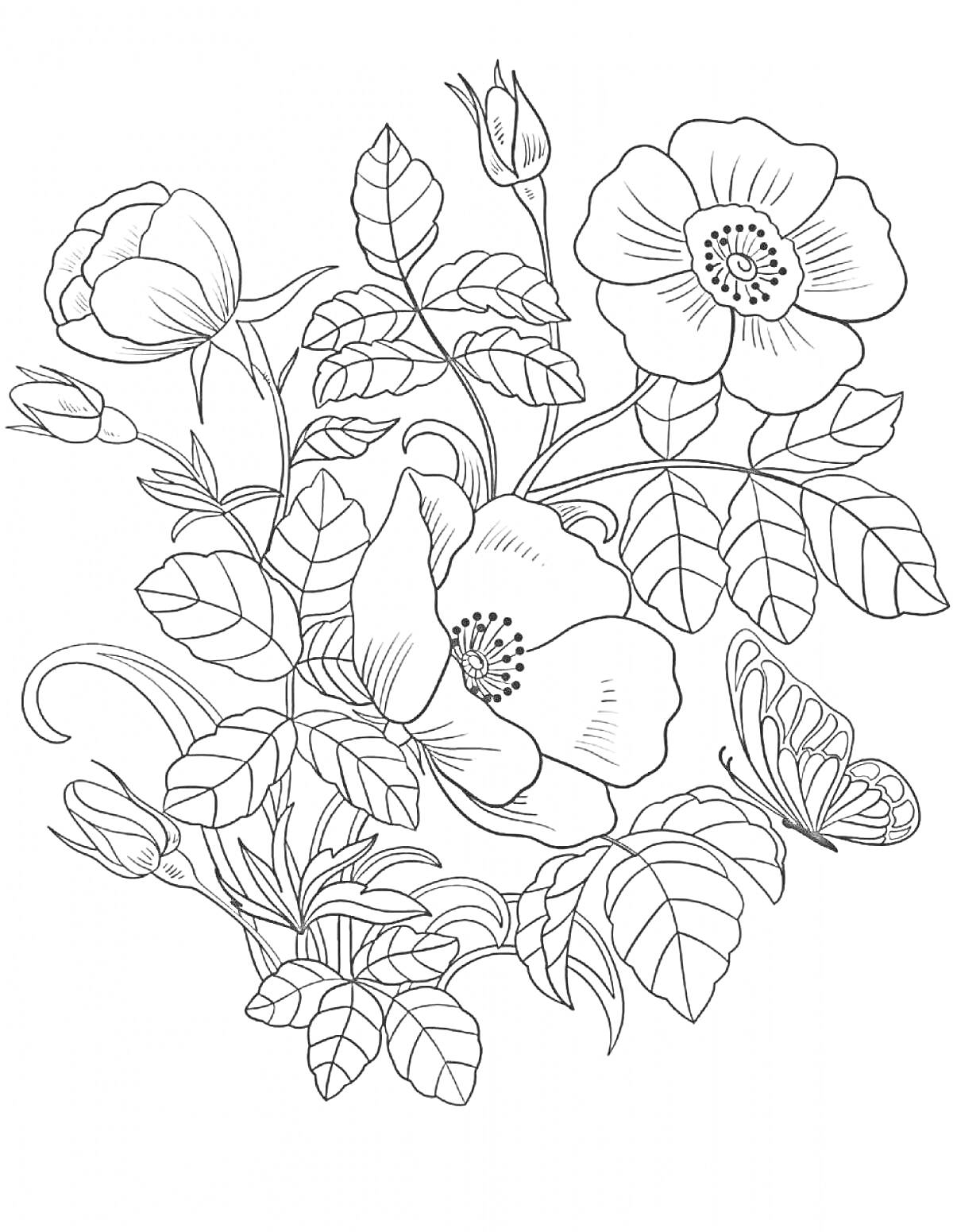 Раскраска Крупные цветы с листьями и бабочкой