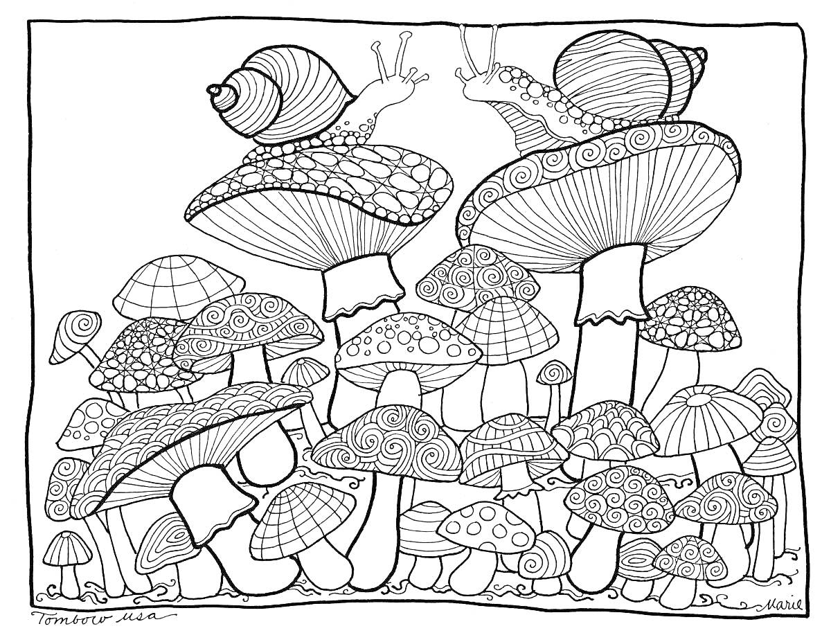 Раскраска Улитки на грибах в лесу; улитки на крупных и мелких грибах с узорами, мелкие листья