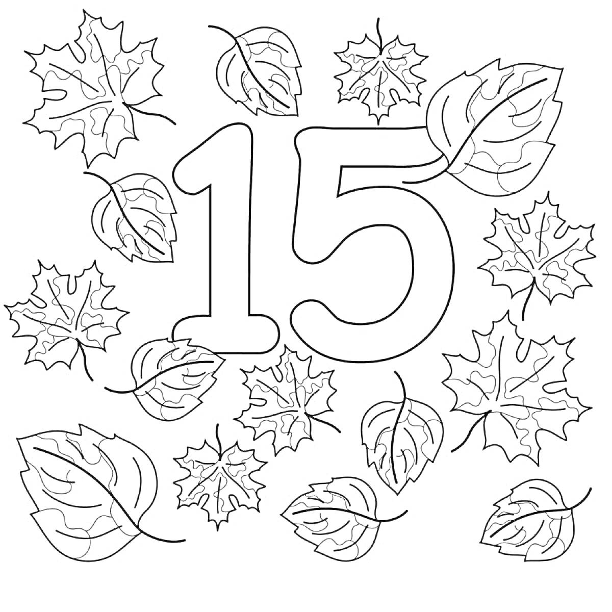 На раскраске изображено: Осенние листья, Листья, Осень, Для подростков