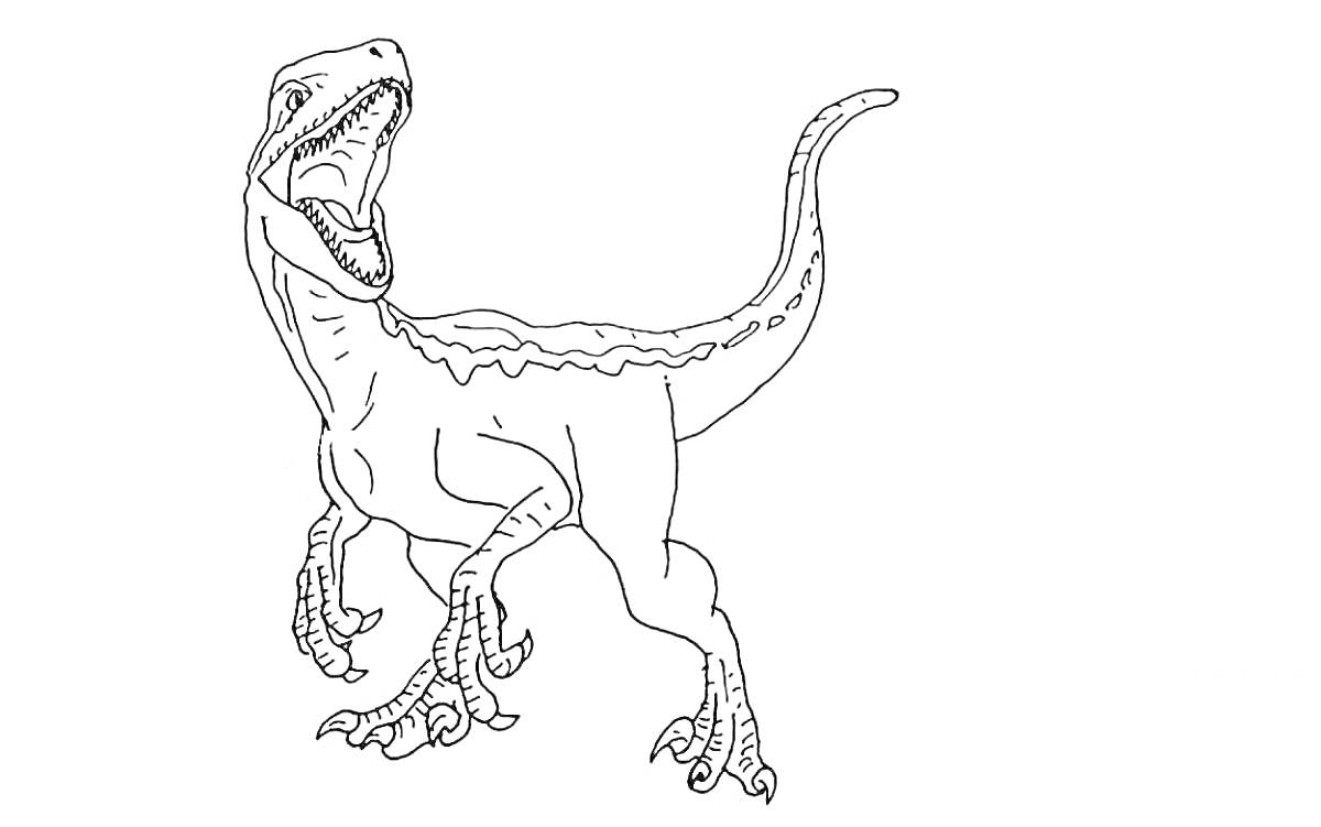 На раскраске изображено: Динозавр, Открытая пасть, Когти, Хвост, Рептилии, Древние животные
