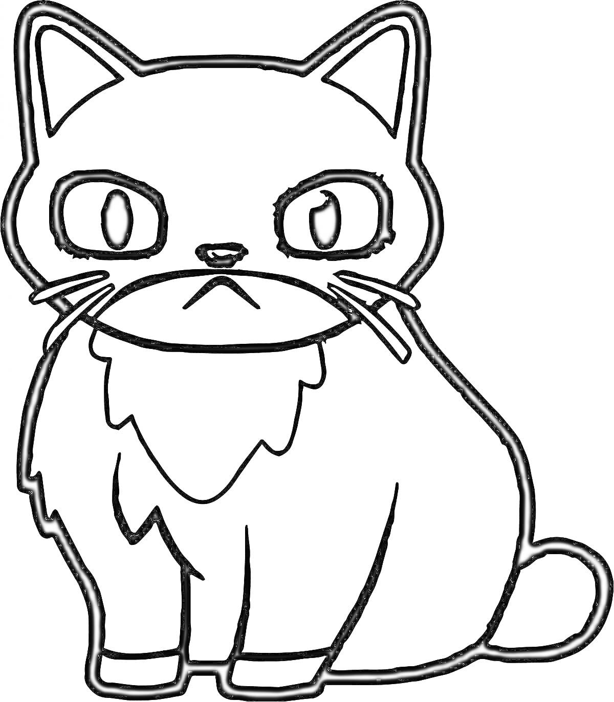 Раскраска мультяшный кот с большими глазами, пушистыми щеками и хвостом, сидящий прямо