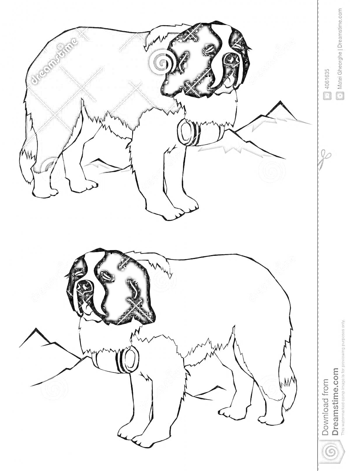 На раскраске изображено: Сенбернар, Собака, Бочонок, Горы