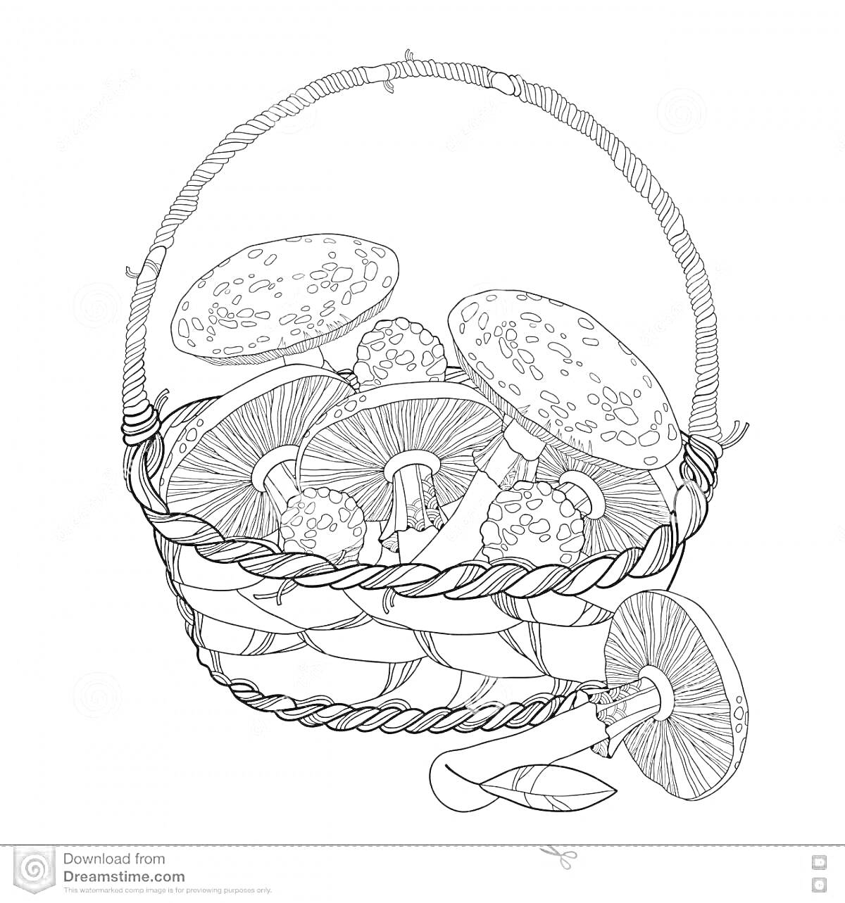 На раскраске изображено: Корзина, Грибы, Листья