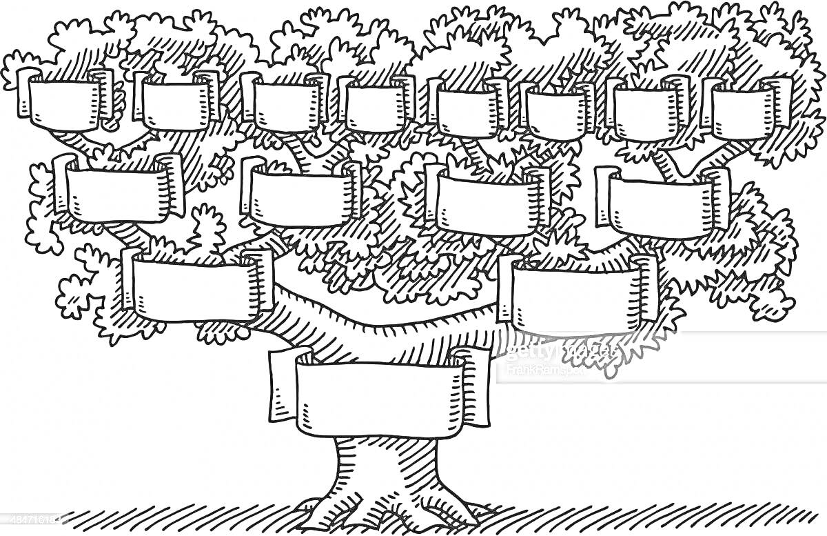Раскраска Генетическое дерево с местами для заполнения (без имен), дерево с 15 пустыми табличками