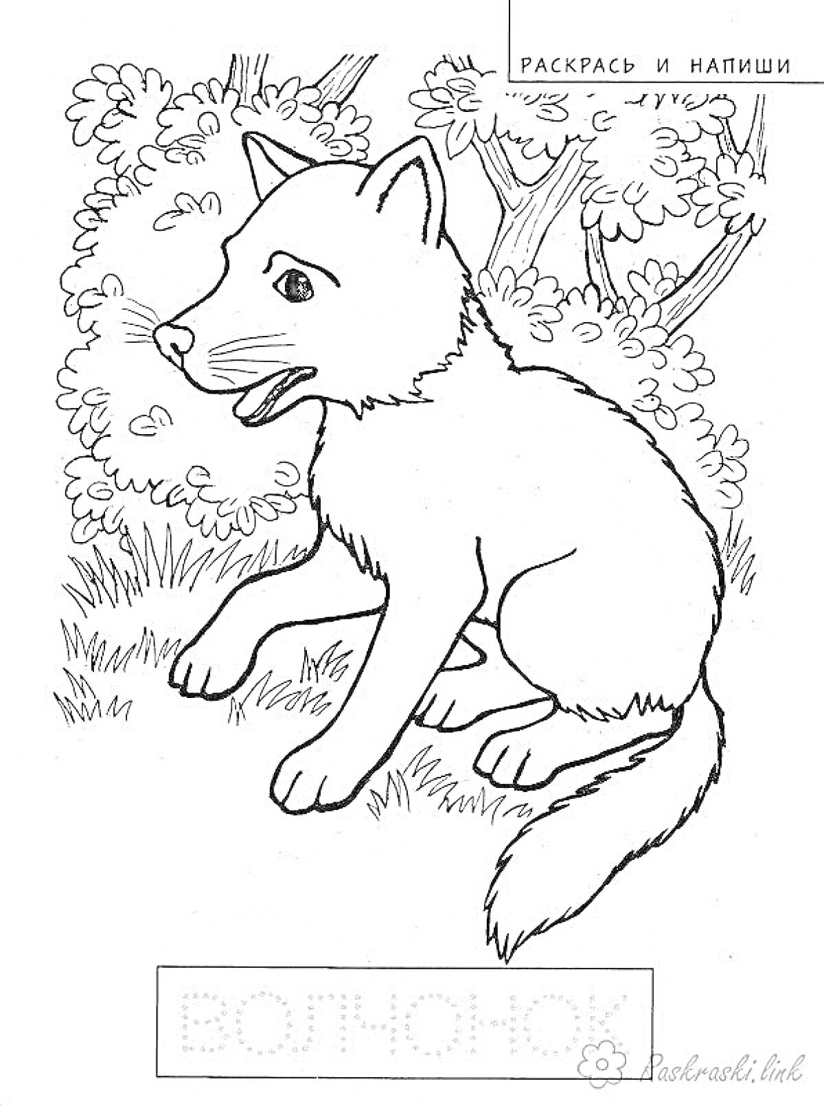 На раскраске изображено: Волчонок, Поляна, Деревья, Лес