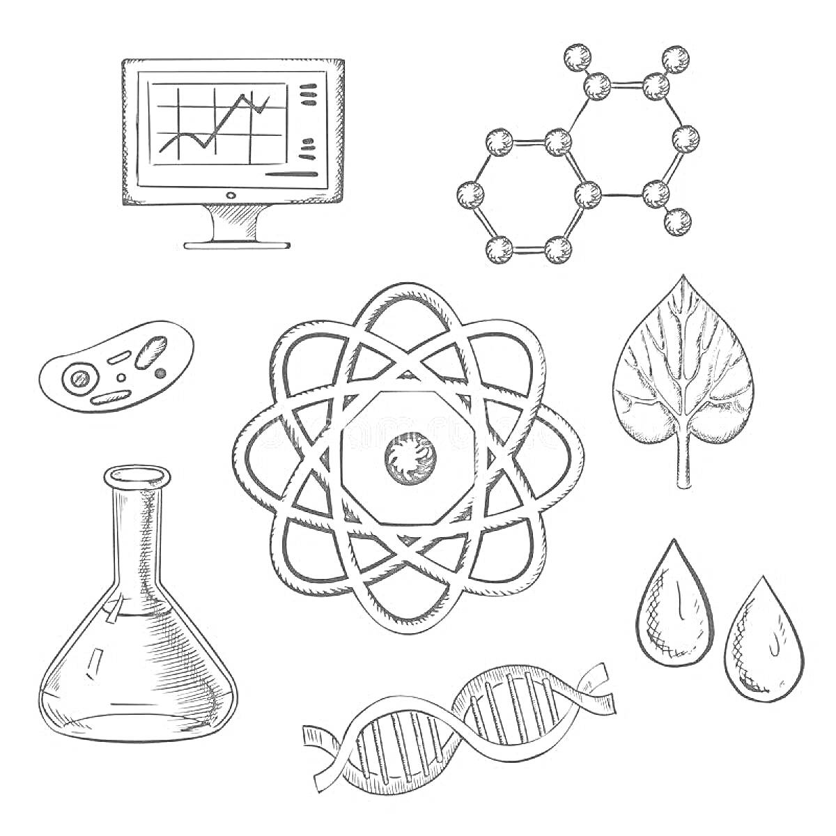 Раскраска компьютер с графиком, молекула, клетка, атом, лист, колба, ДНК, капли воды