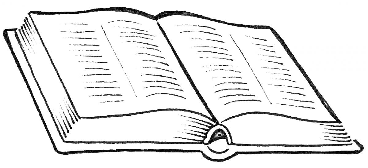 На раскраске изображено: Книга, Открытая книга, Текст, Страницы, Чтение