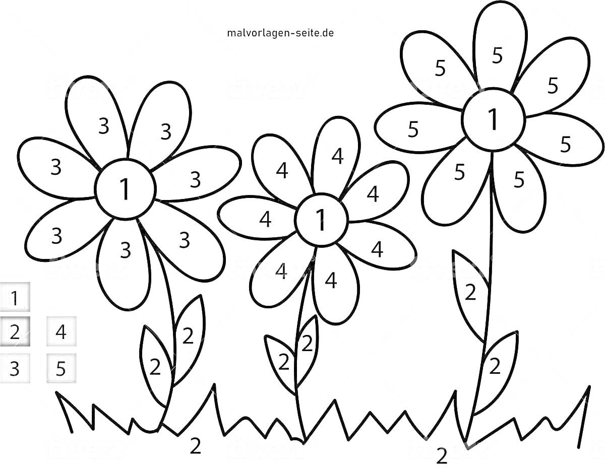 Раскраска Раскраска с номерами. Три цветка с лепестками и листьями на траве