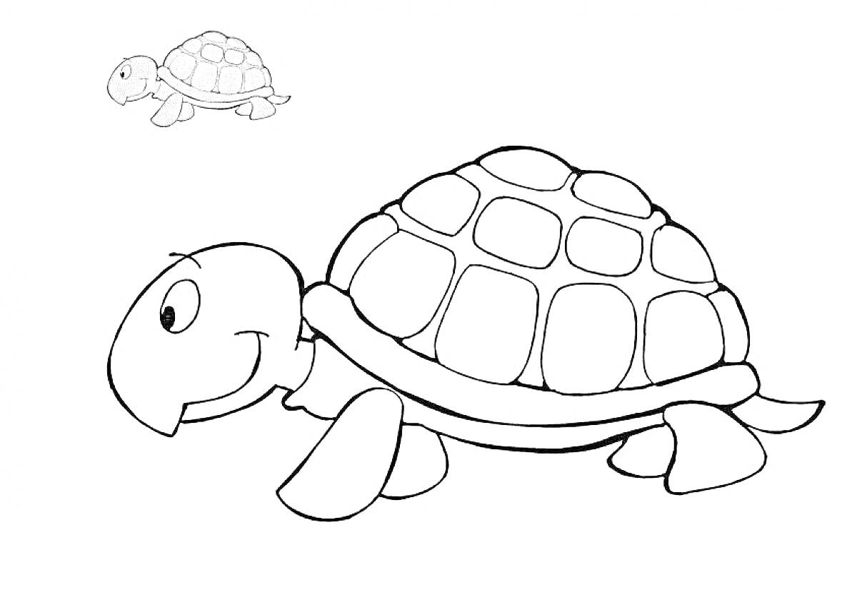 Раскраска Большая черепашка с маленькой раскрашенной черепашкой