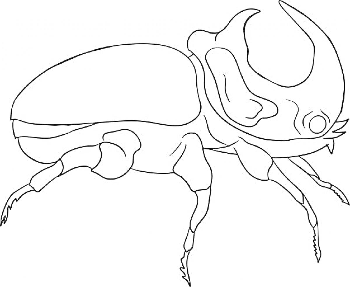 На раскраске изображено: Жук-носорог, Насекомое