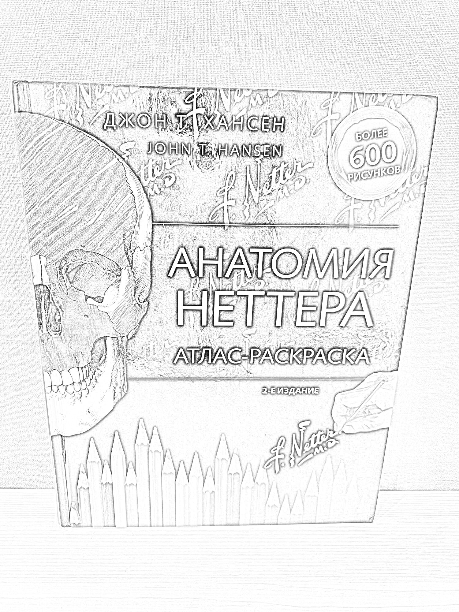 На раскраске изображено: Анатомия, Неттер, Атлас, Медицина, Учебник, Человеческое тело, Обучение, Наука