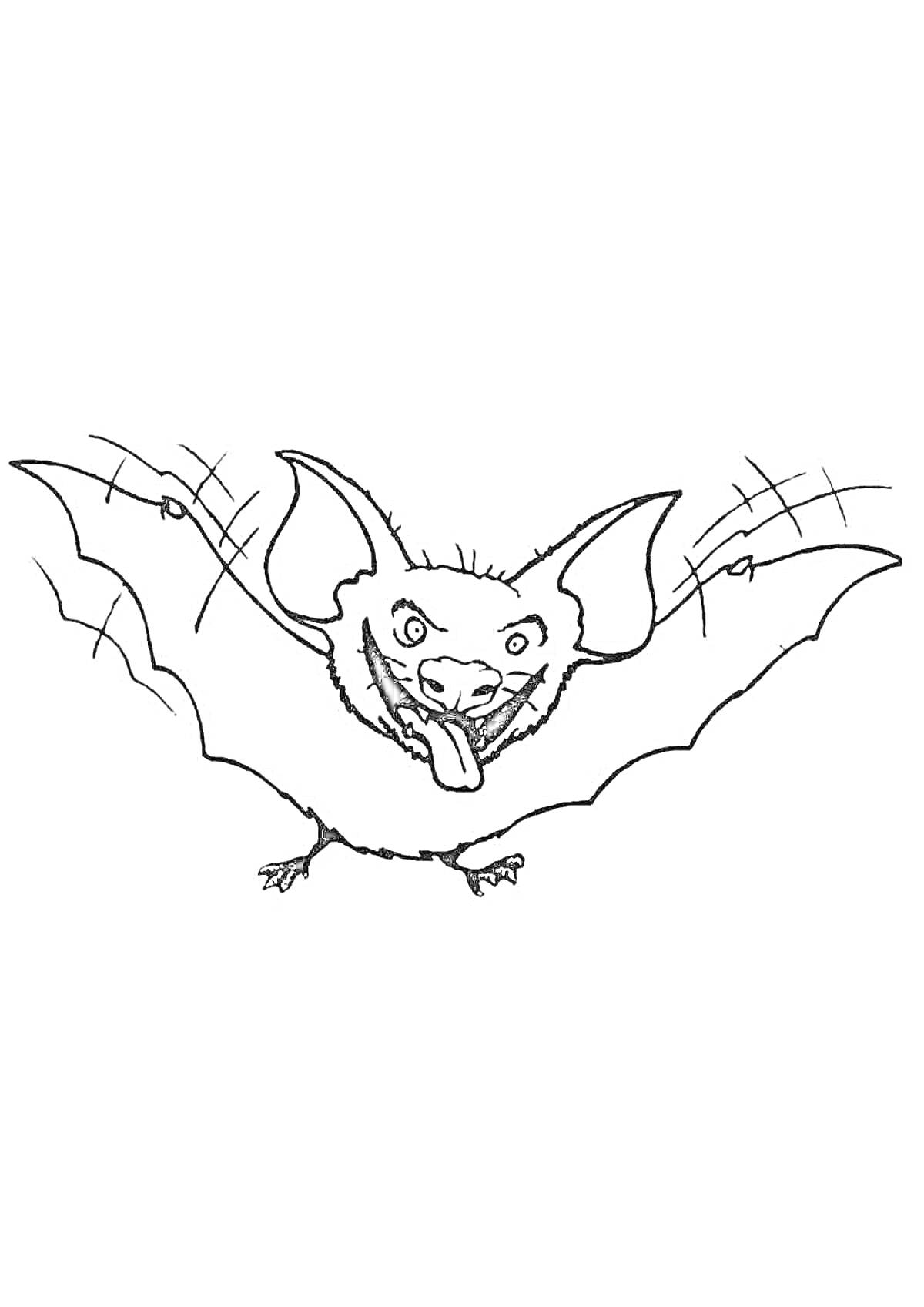 На раскраске изображено: Летучая мышь, Крылья, Язык, Контурные рисунки
