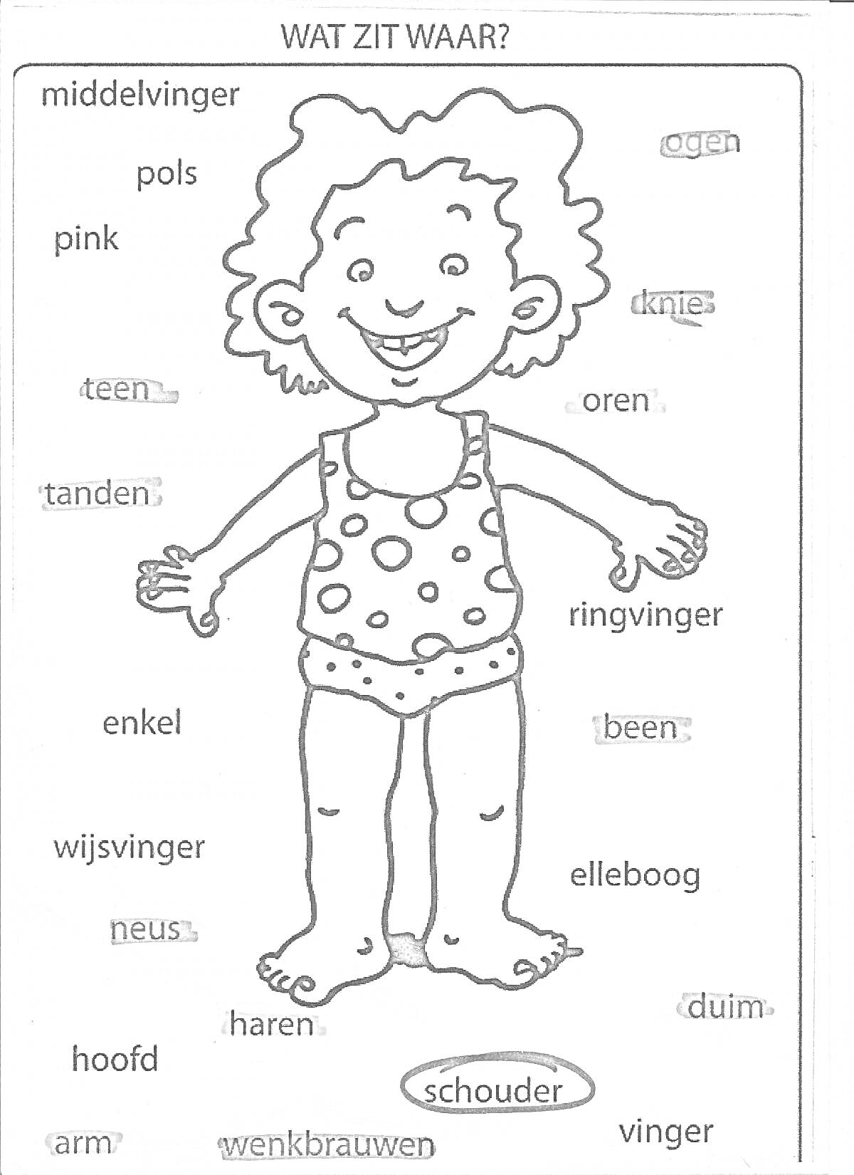 Раскраска с частями тела человека, подписанными на английском и голландском языках