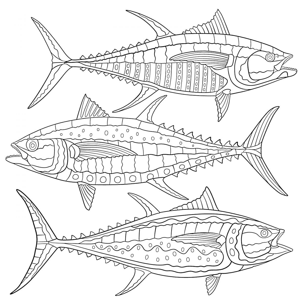 Раскраска Три рыбы с декоративными узорами
